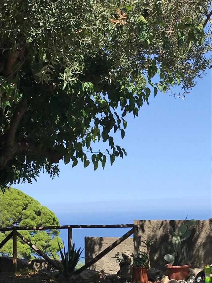 L'Ulivo In Villa Greco Tindari Eksteriør billede