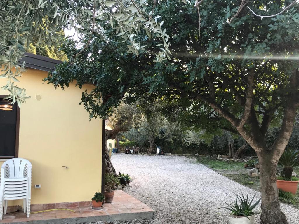 L'Ulivo In Villa Greco Tindari Eksteriør billede