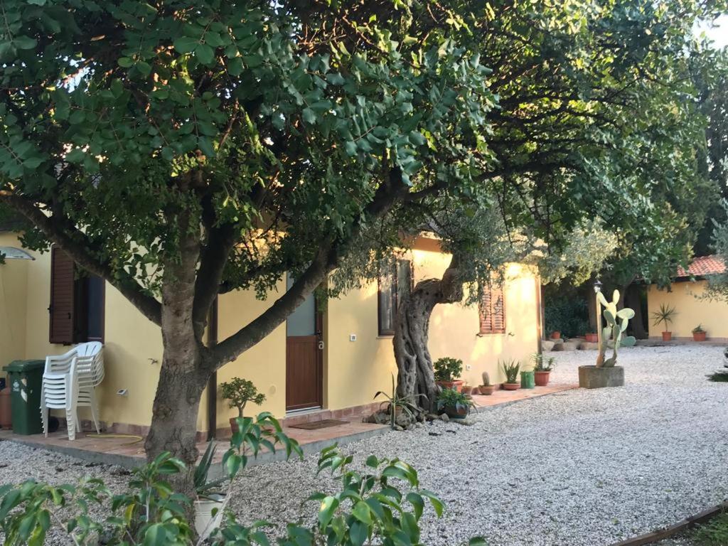 L'Ulivo In Villa Greco Tindari Eksteriør billede