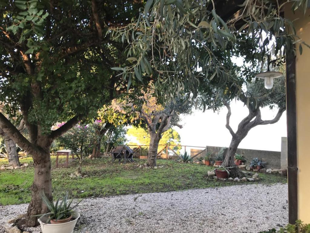 L'Ulivo In Villa Greco Tindari Eksteriør billede