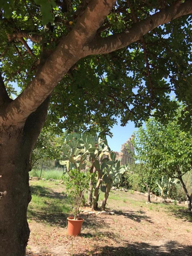 L'Ulivo In Villa Greco Tindari Eksteriør billede