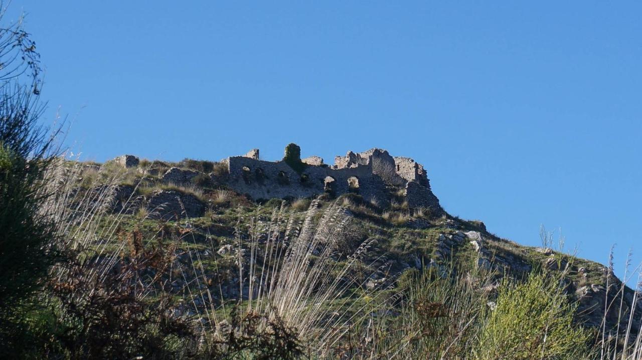 L'Ulivo In Villa Greco Tindari Eksteriør billede
