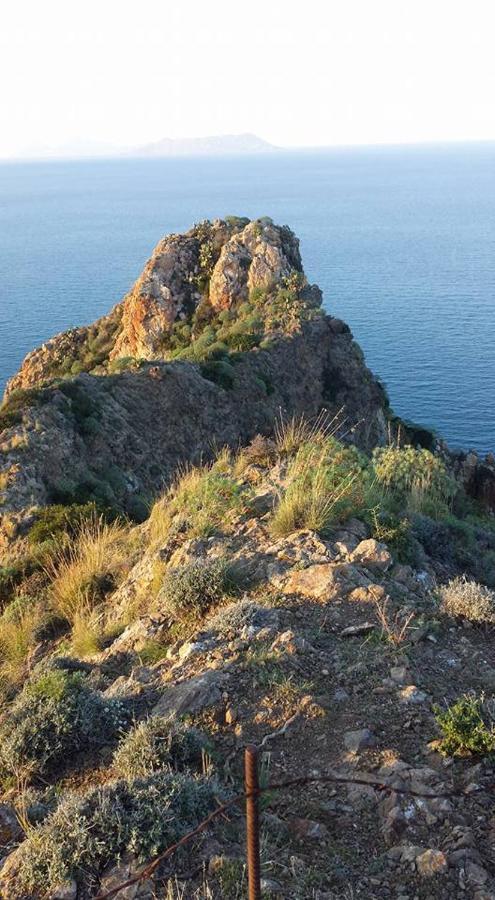 L'Ulivo In Villa Greco Tindari Eksteriør billede